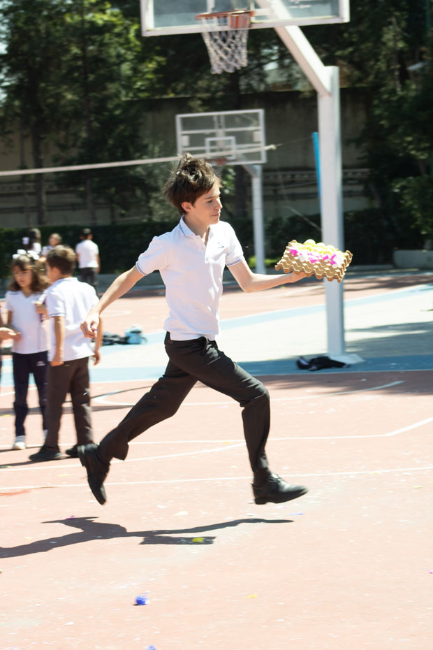 Ir a la Siguiente Foto