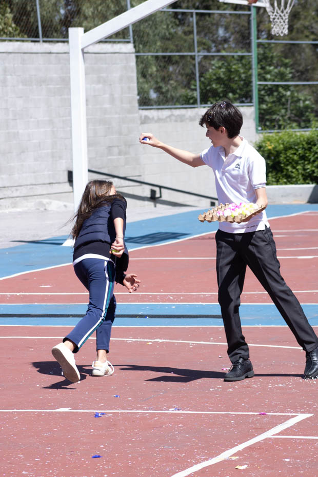 Ir a la Siguiente Foto