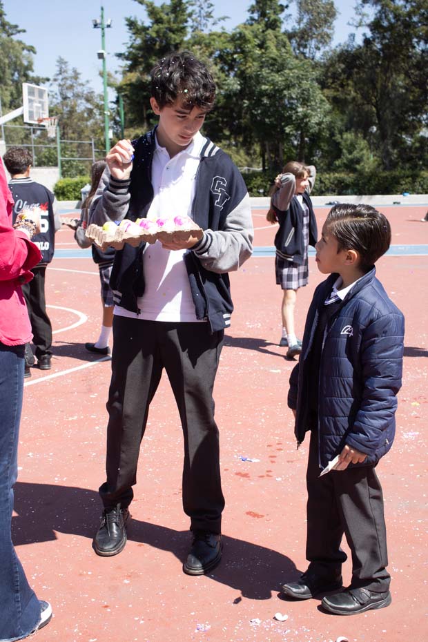 Ir a la Siguiente Foto