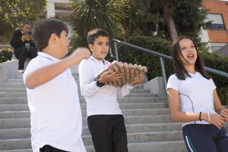 Ir a la Siguiente Foto