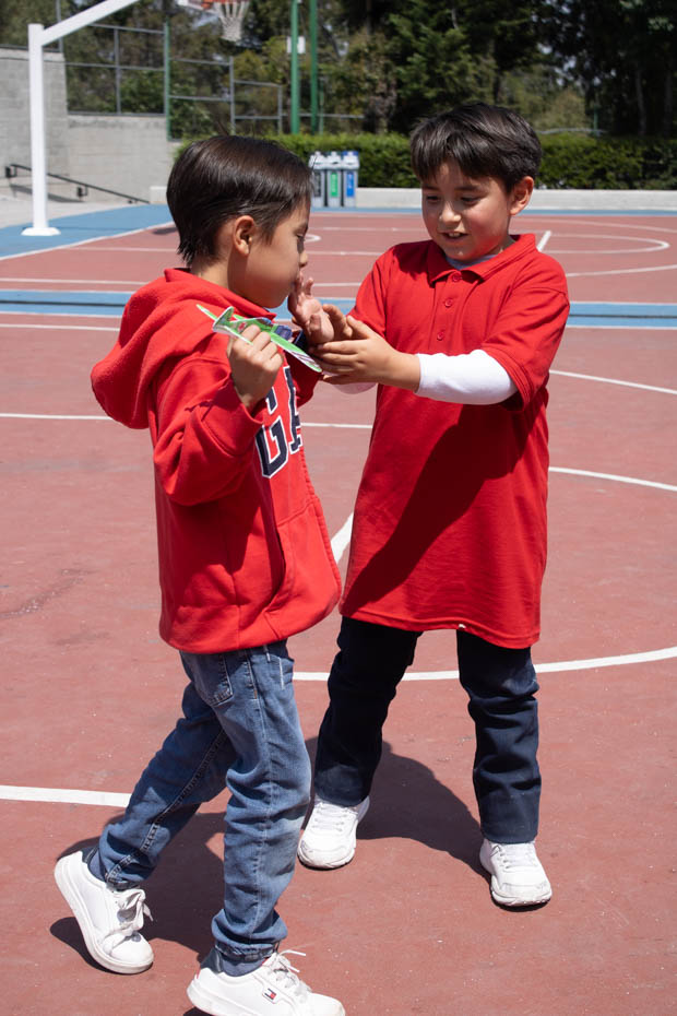 Ir a la Siguiente Foto