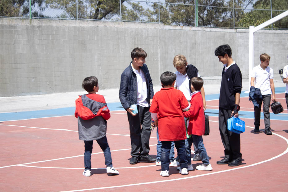 Ir a la Siguiente Foto