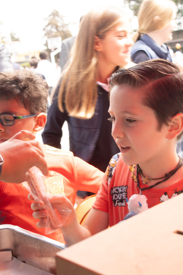 Ir a la Siguiente Foto