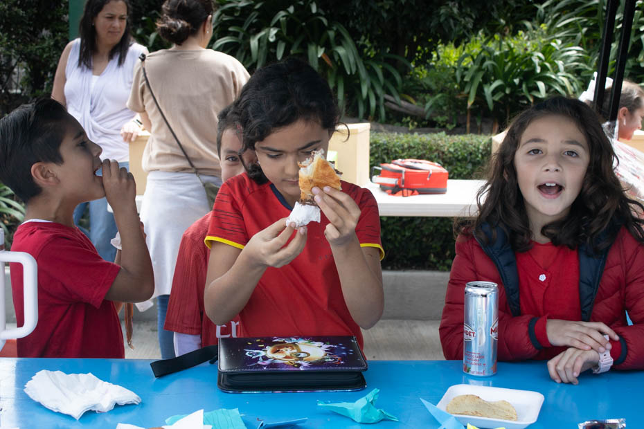 Ir a la Siguiente Foto