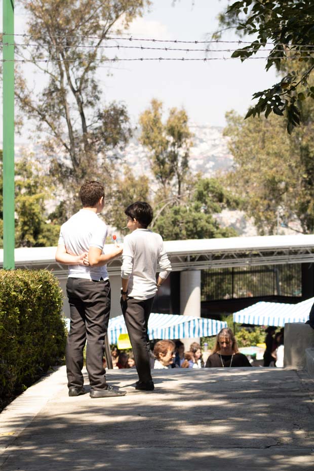 Ir a la Siguiente Foto