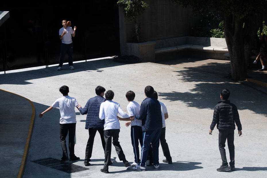 Ir a la Siguiente Foto