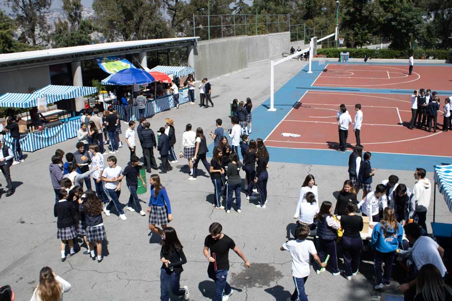 Ir a la Siguiente Foto