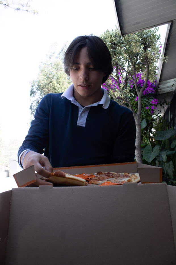 Ir a la Siguiente Foto