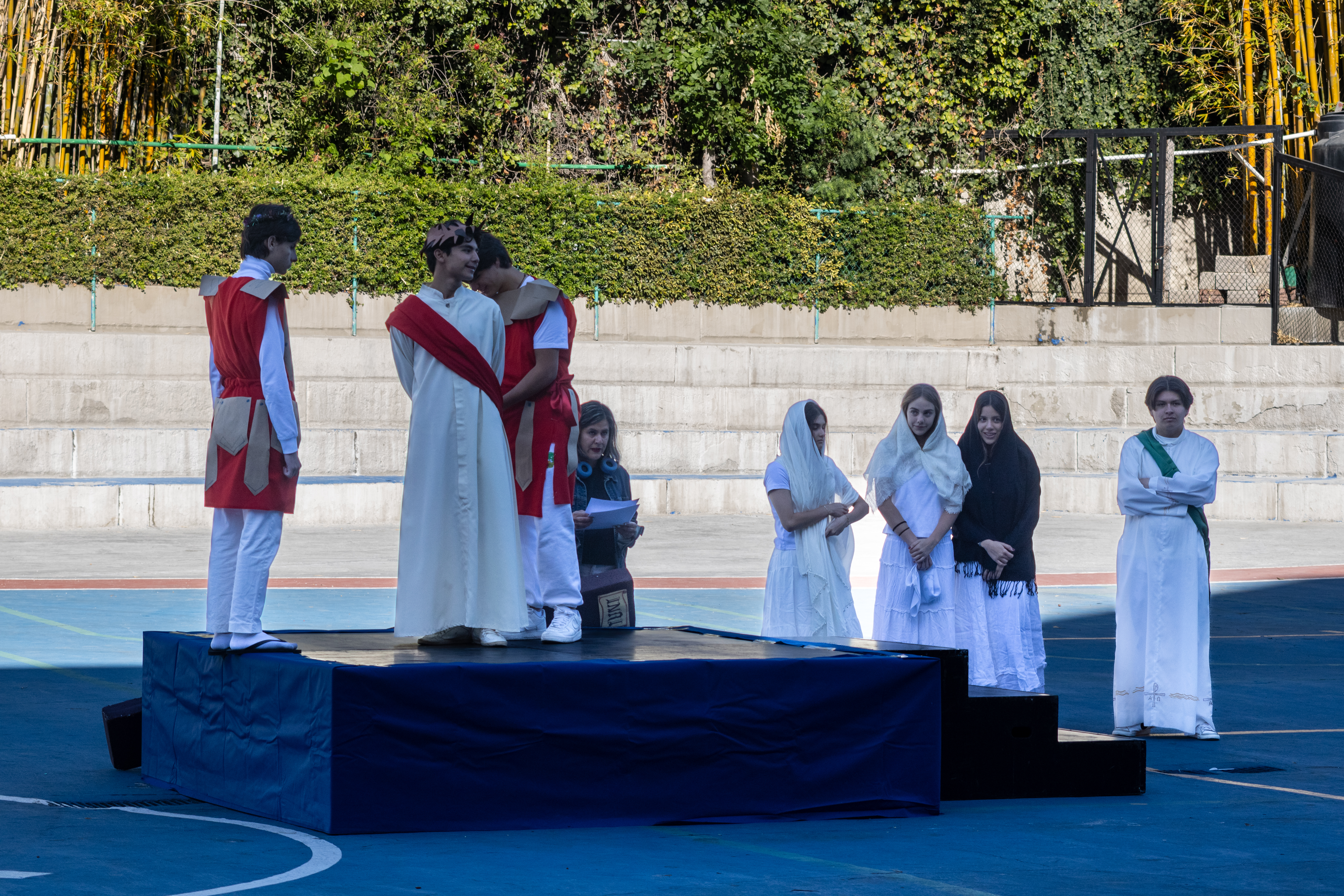 Ir a la Siguiente Foto