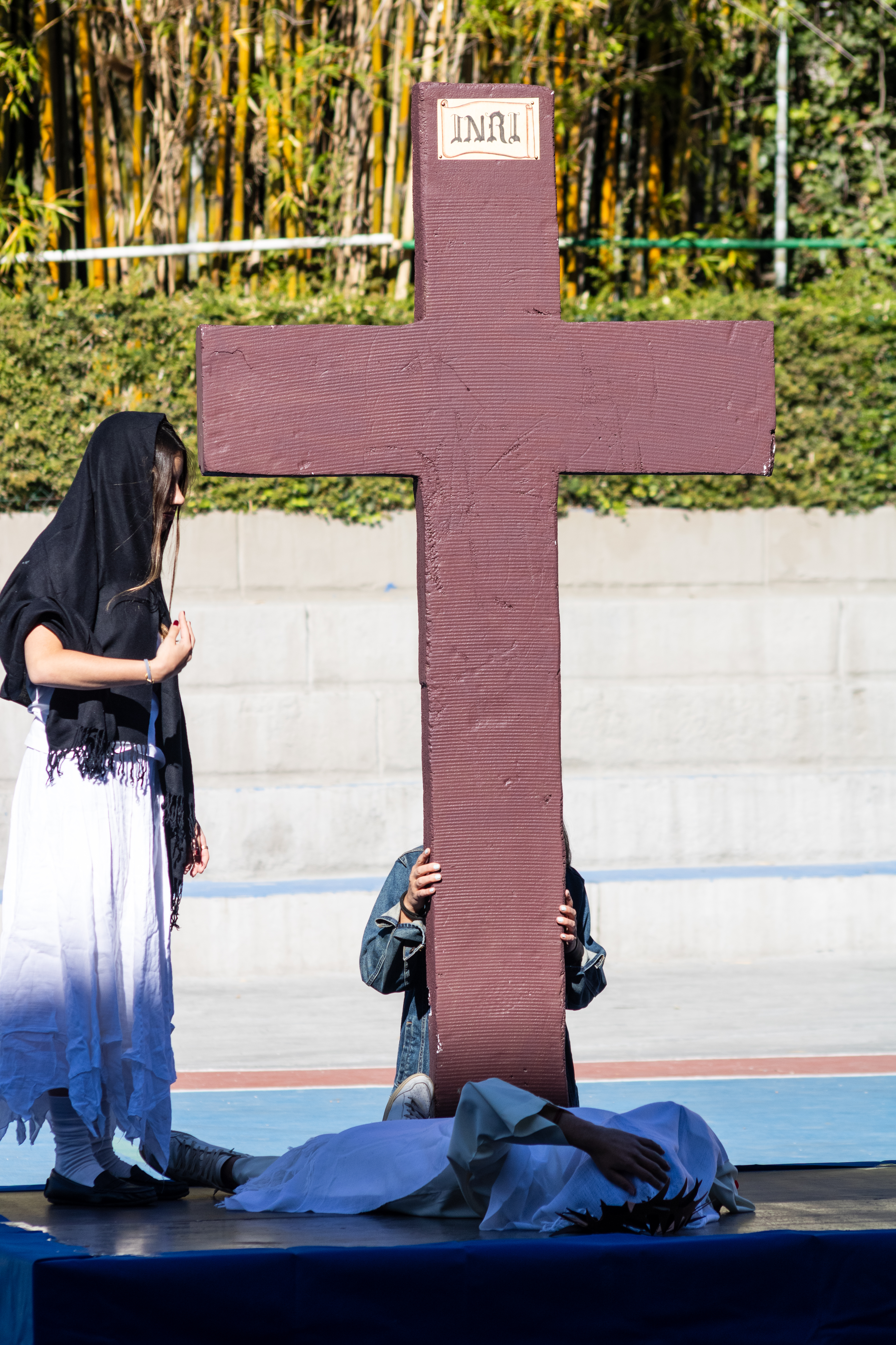 Ir a la Siguiente Foto