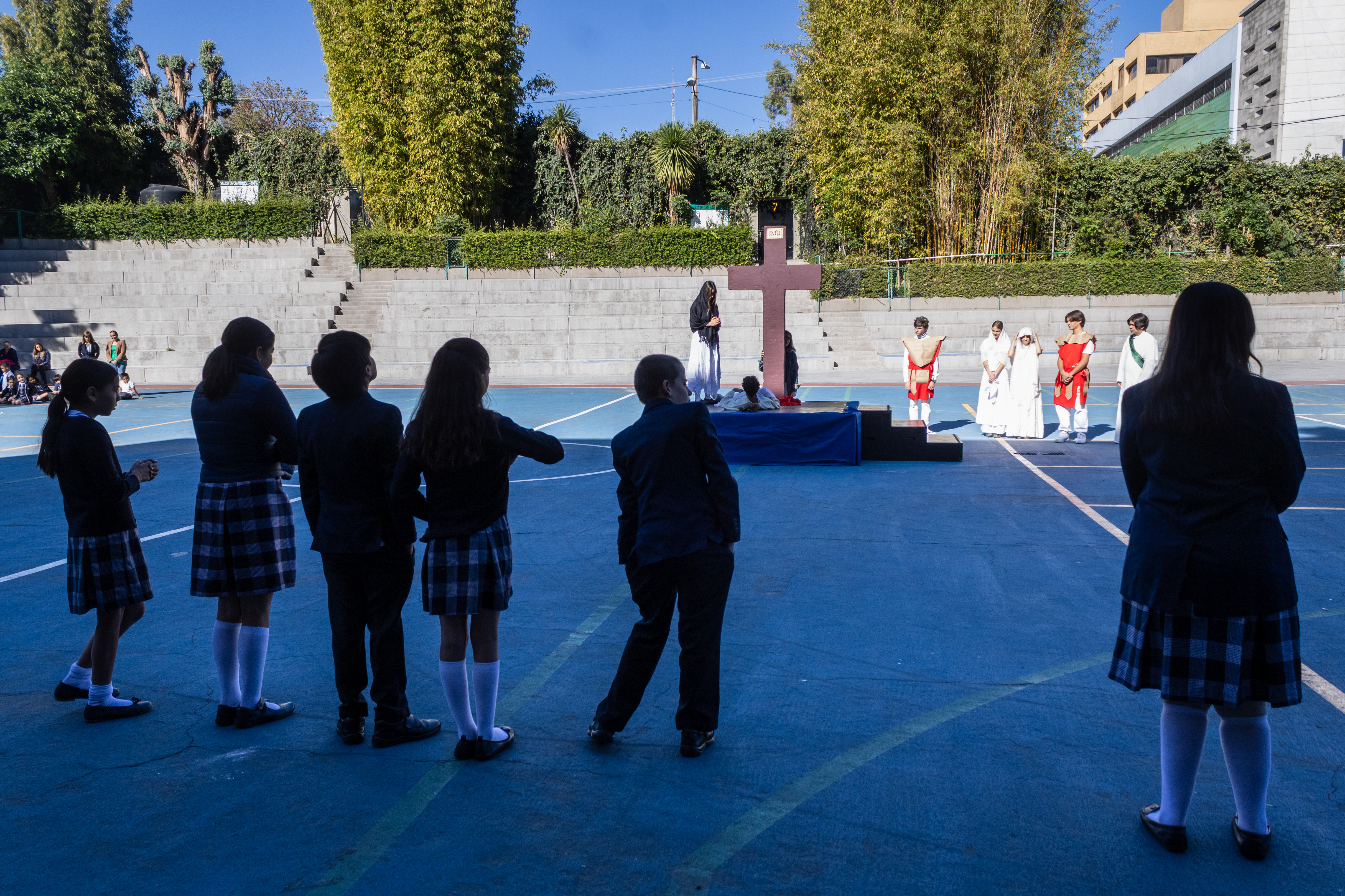 Ir a la Siguiente Foto