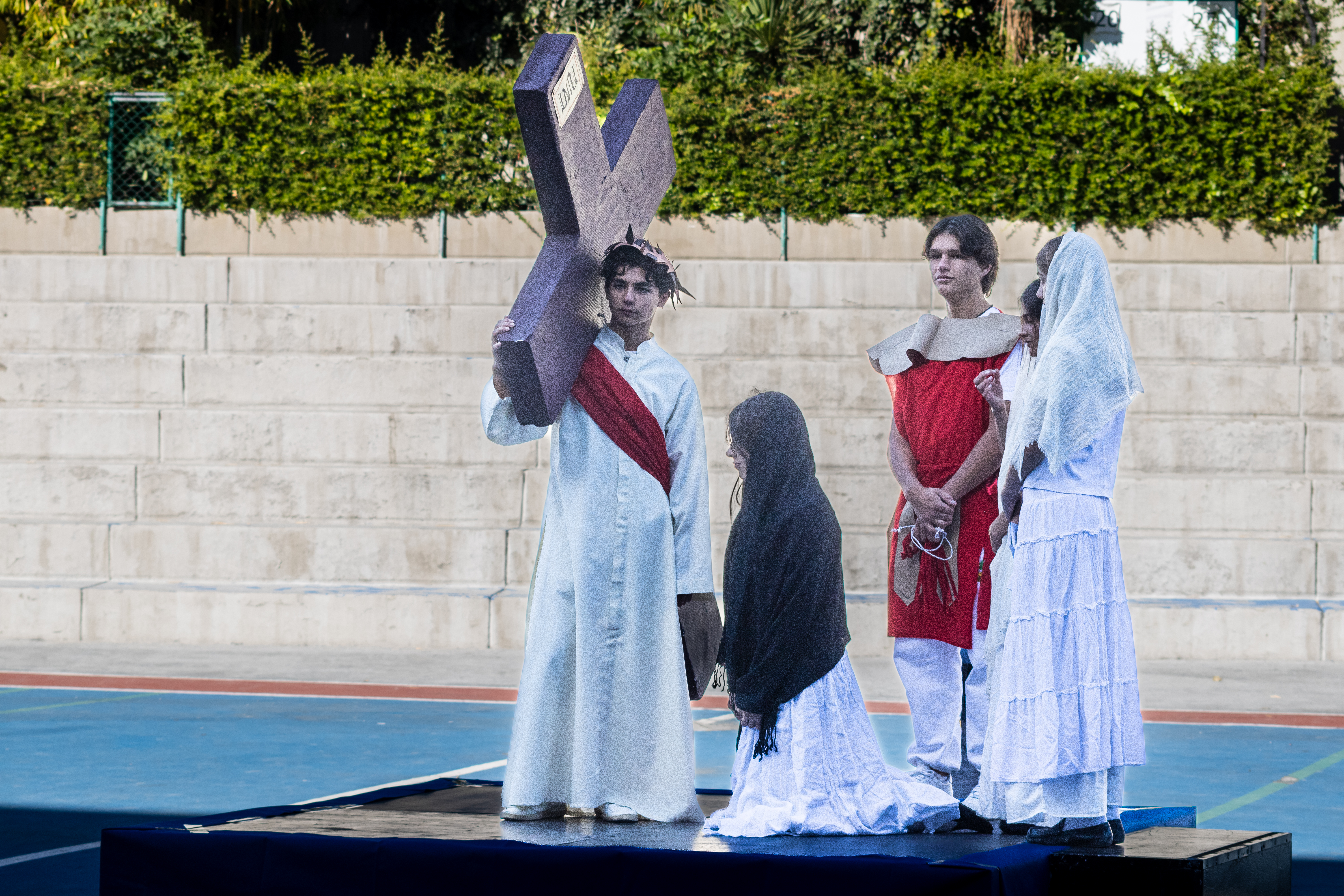 Ir a la Siguiente Foto