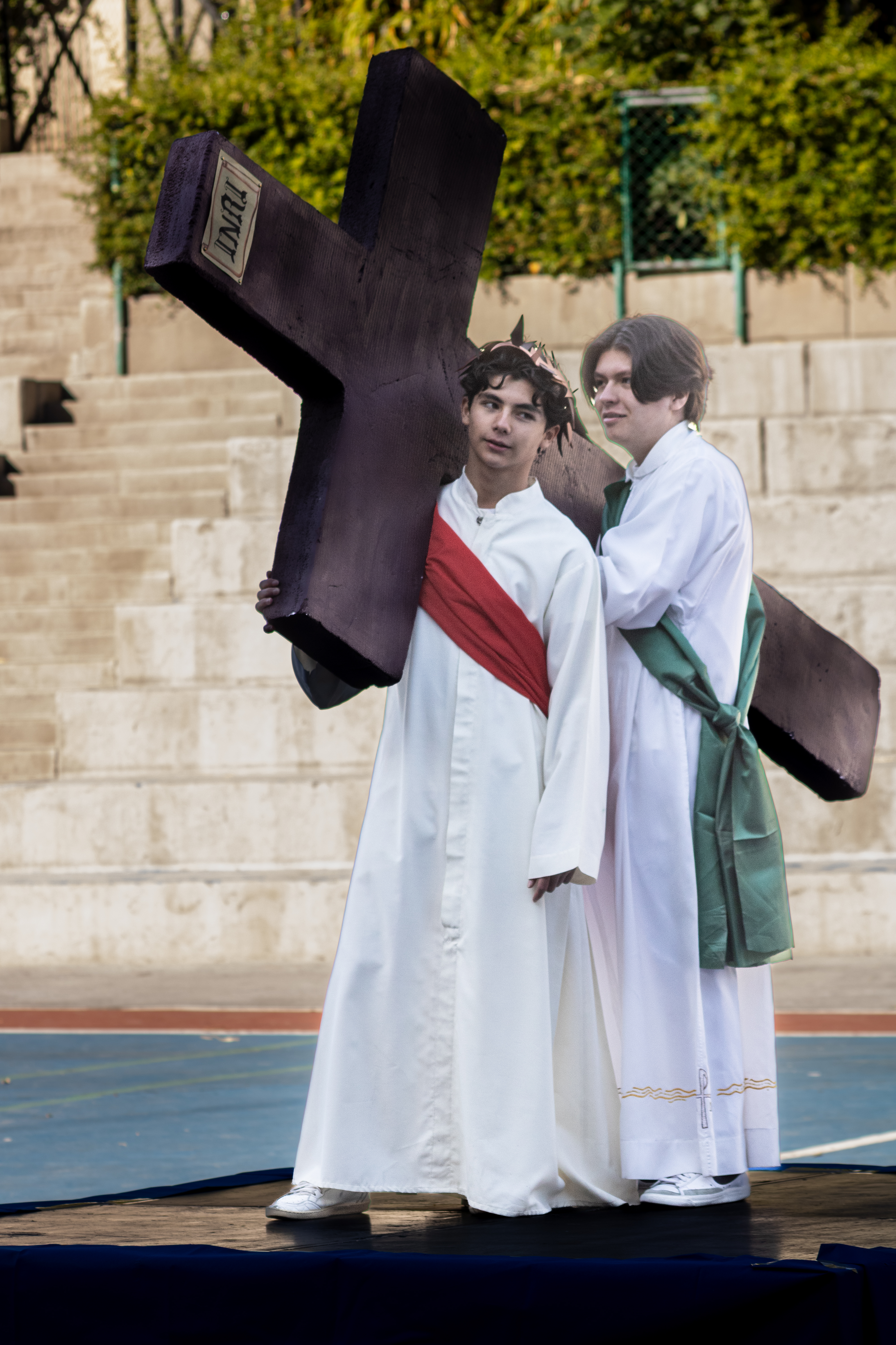 Ir a la Siguiente Foto