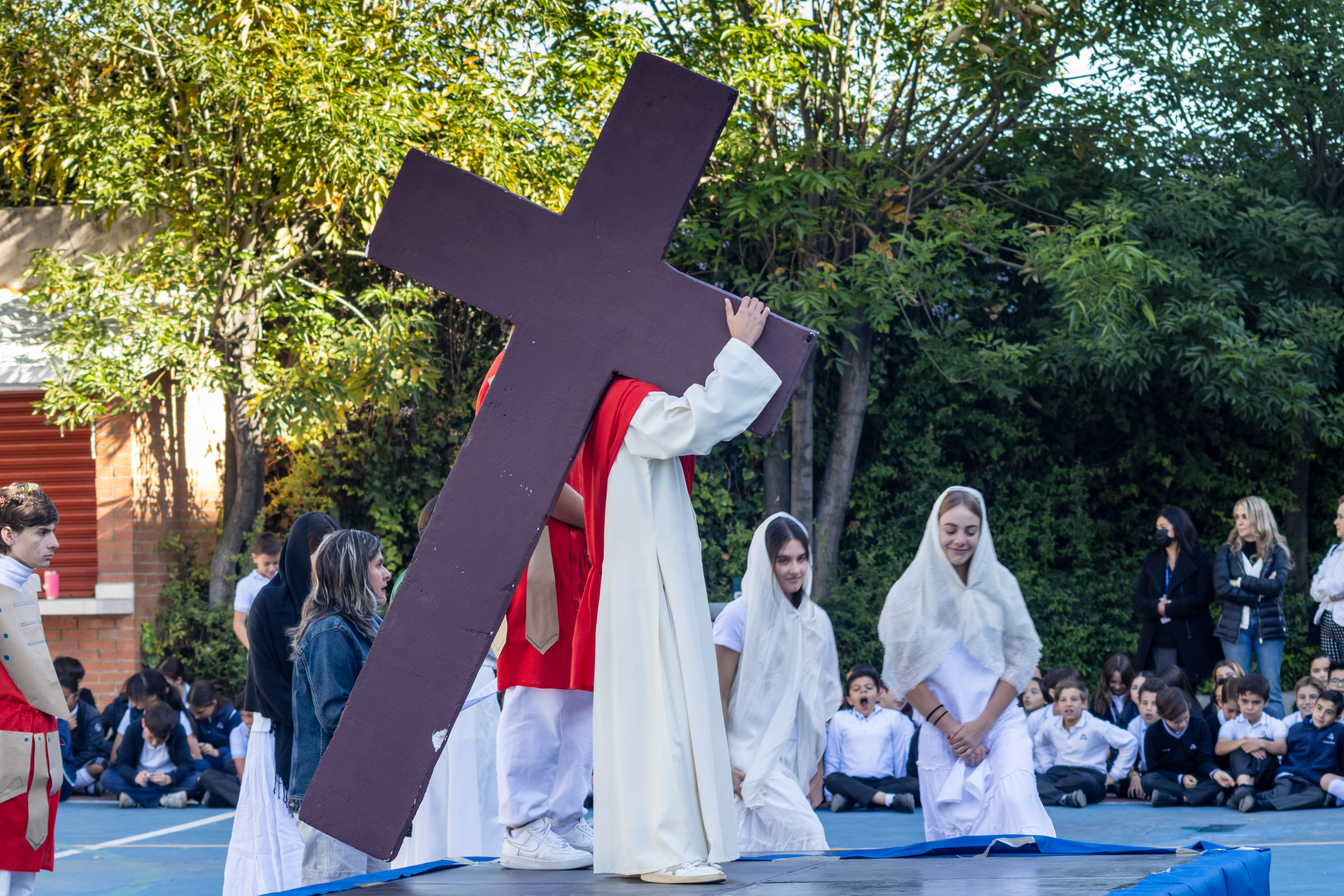 Ir a la Siguiente Foto