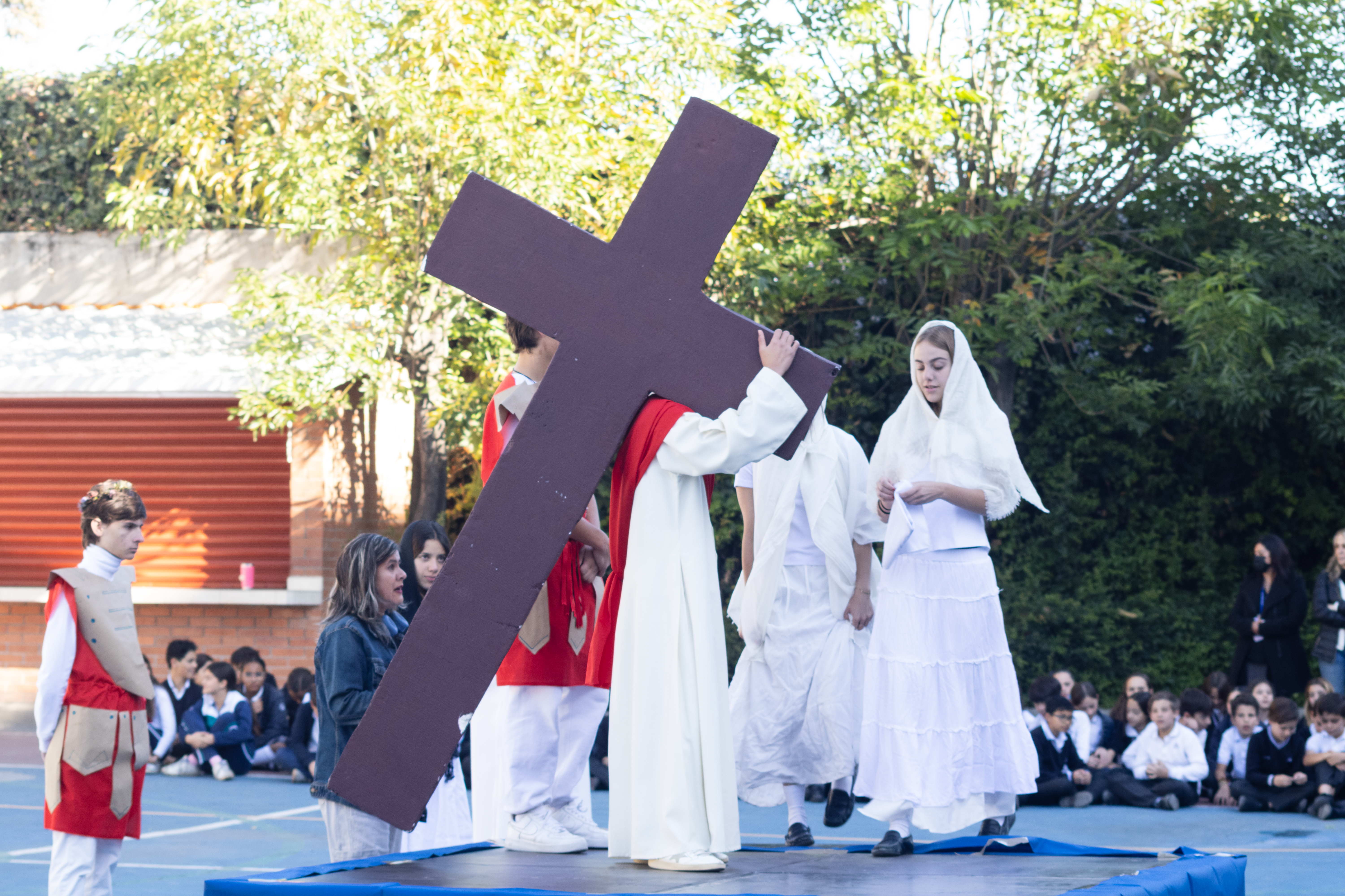 Ir a la Siguiente Foto