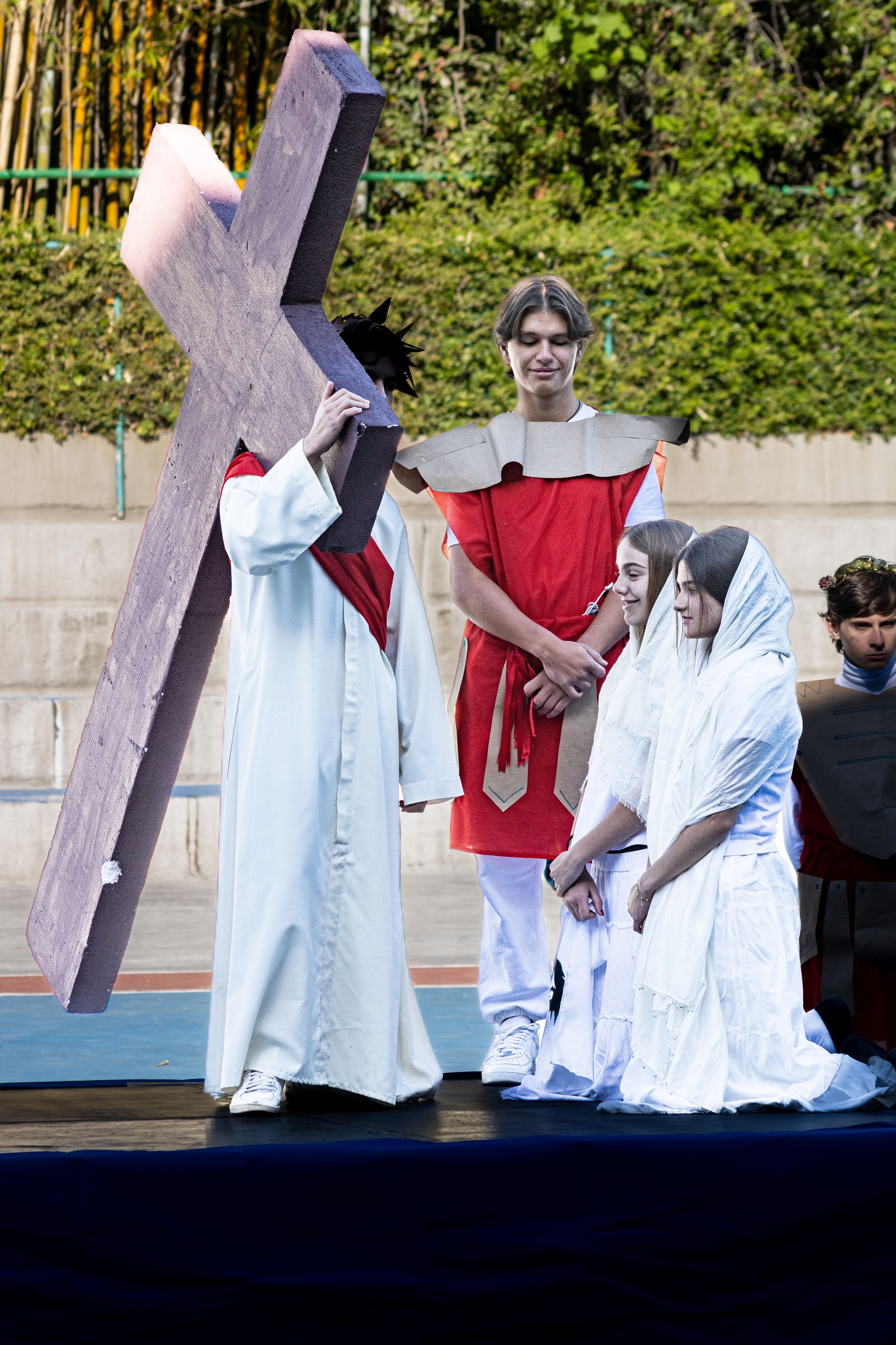 Ir a la Siguiente Foto