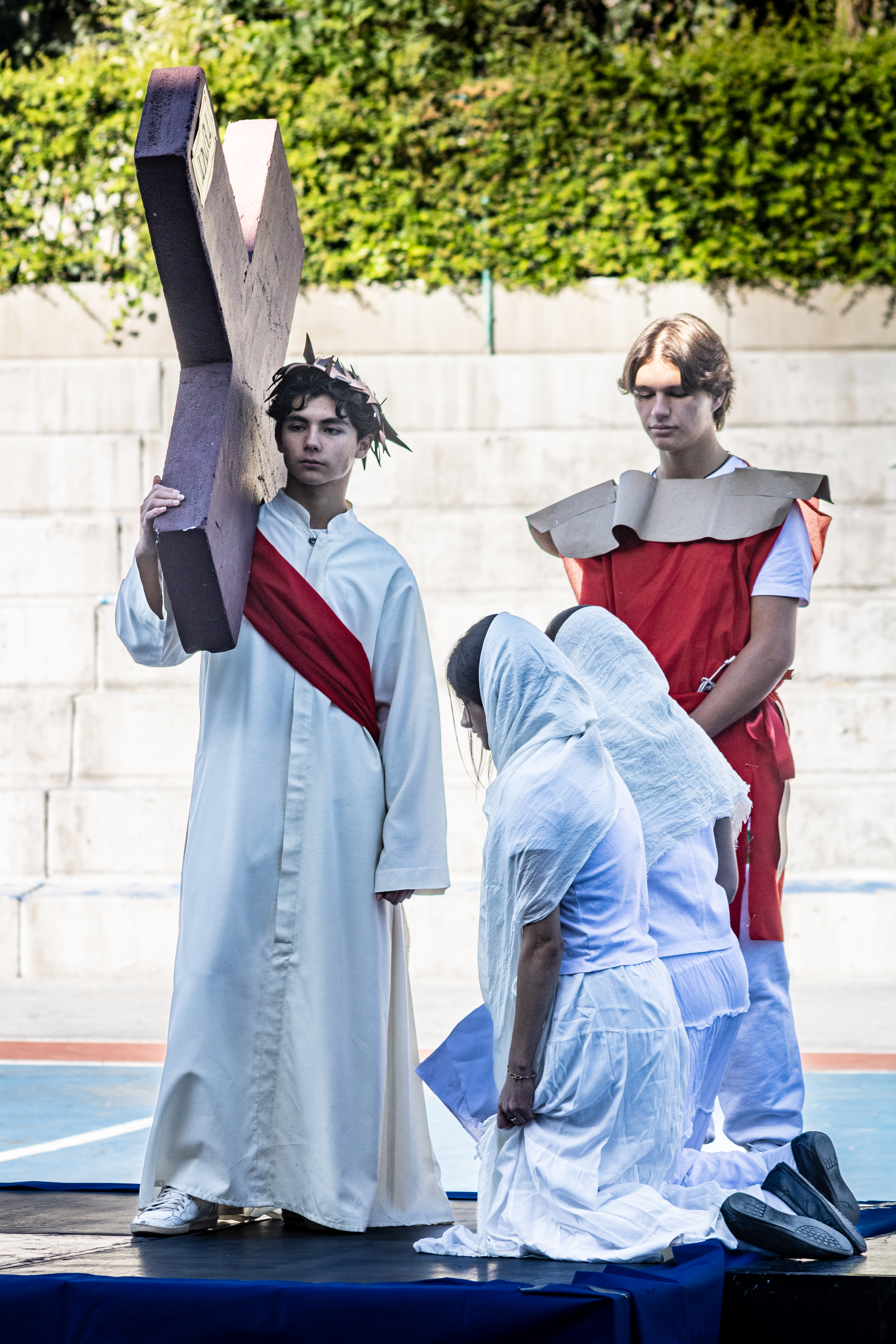 Ir a la Siguiente Foto