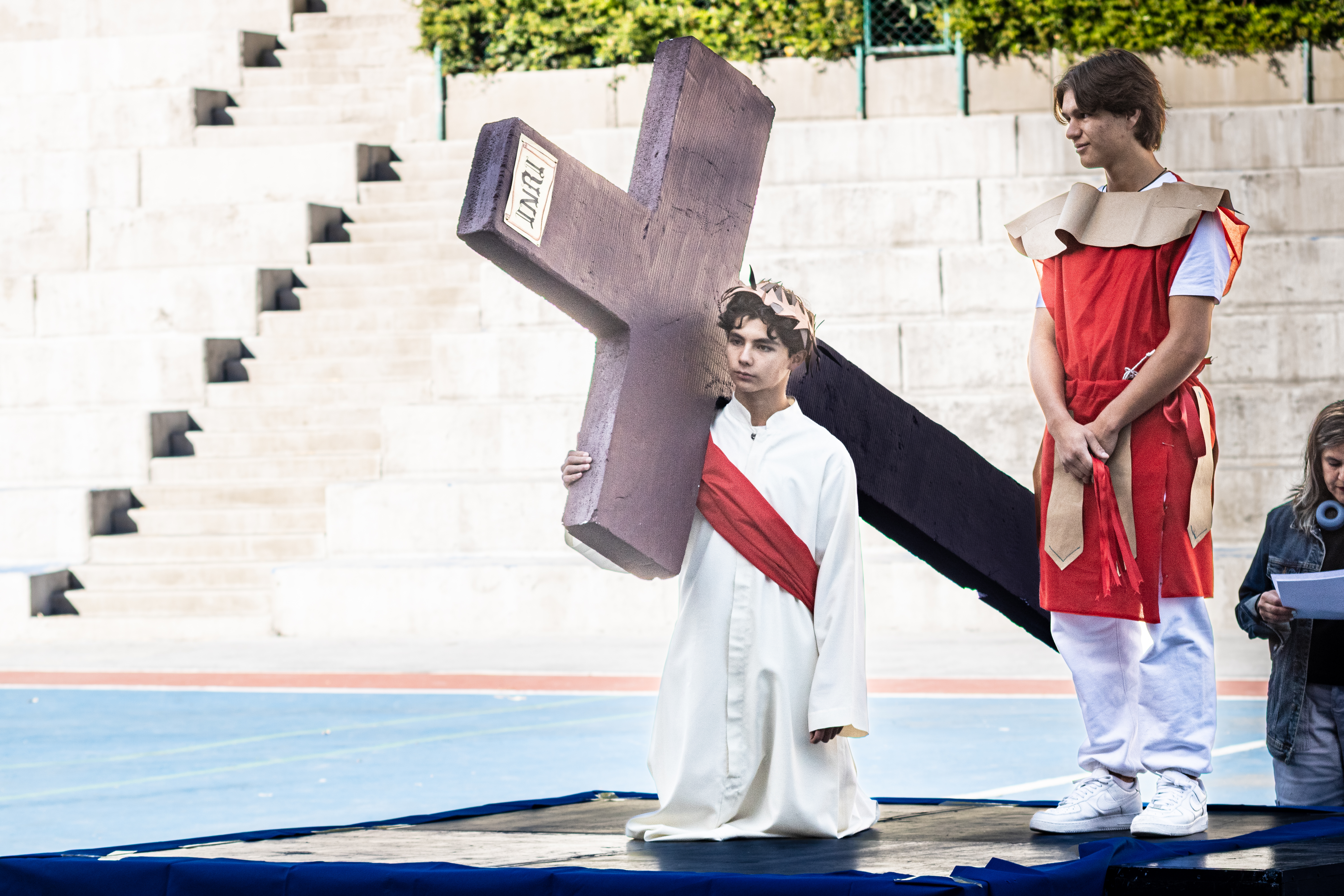 Ir a la Siguiente Foto