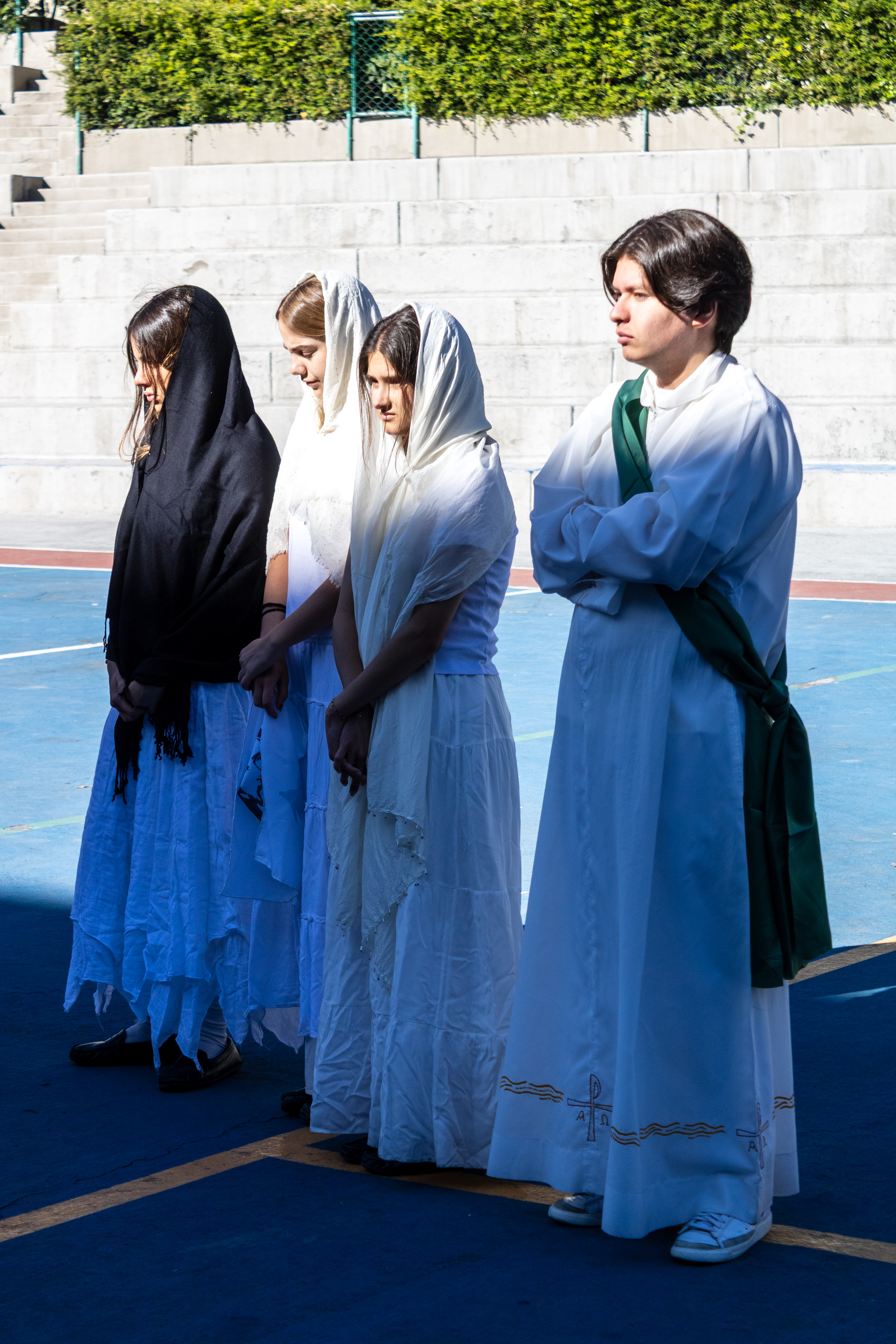 Ir a la Siguiente Foto