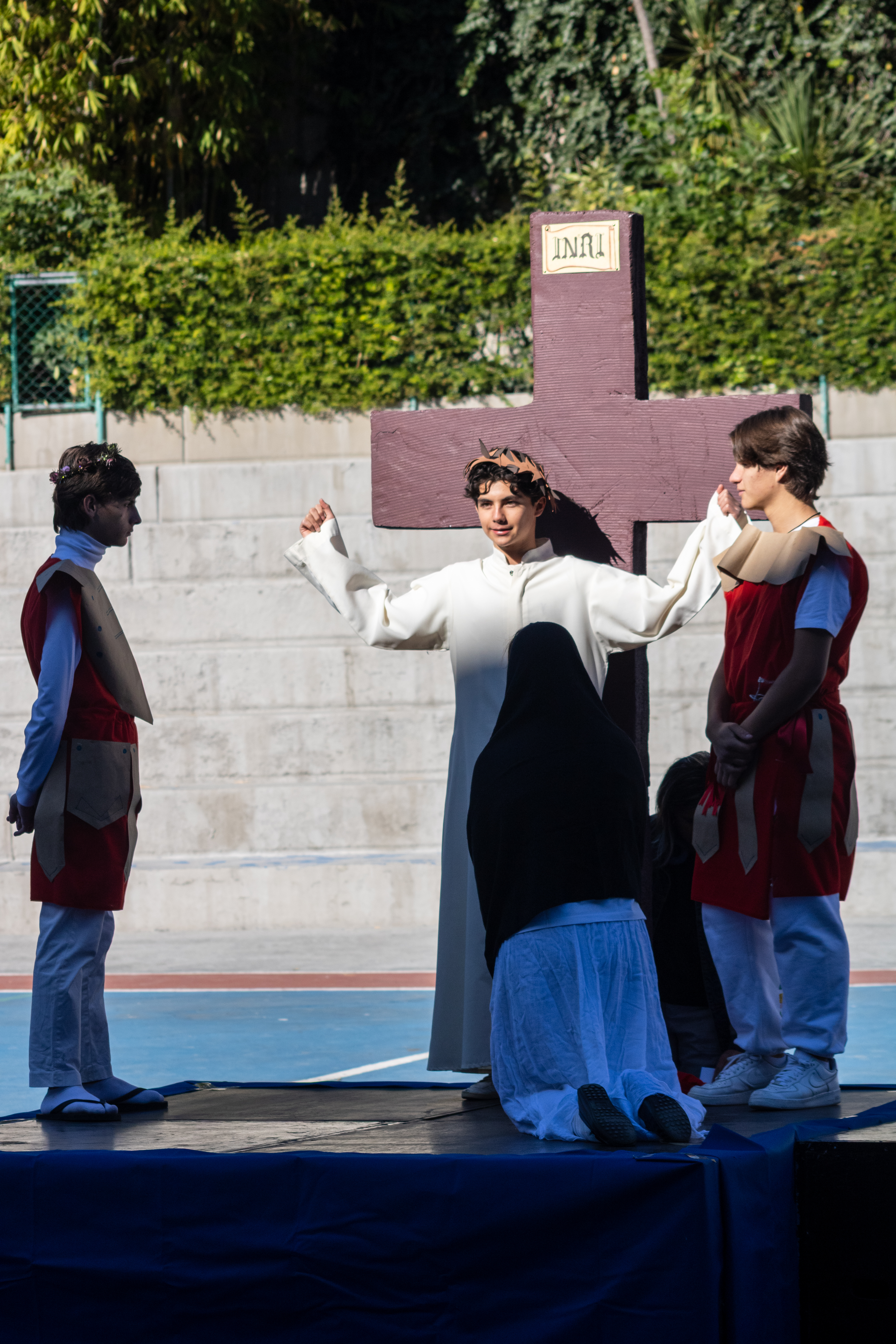 Ir a la Siguiente Foto