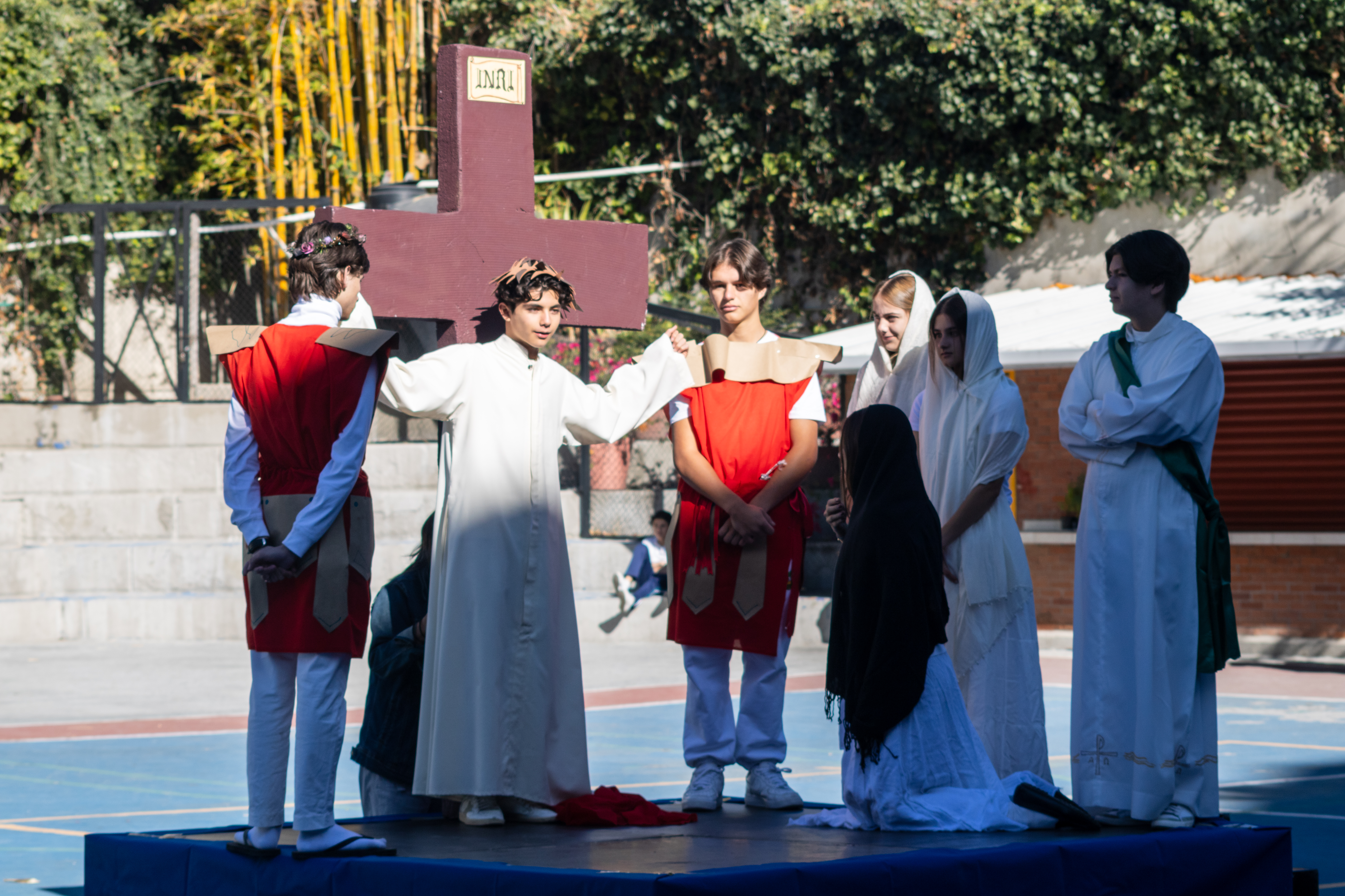 Ir a la Siguiente Foto