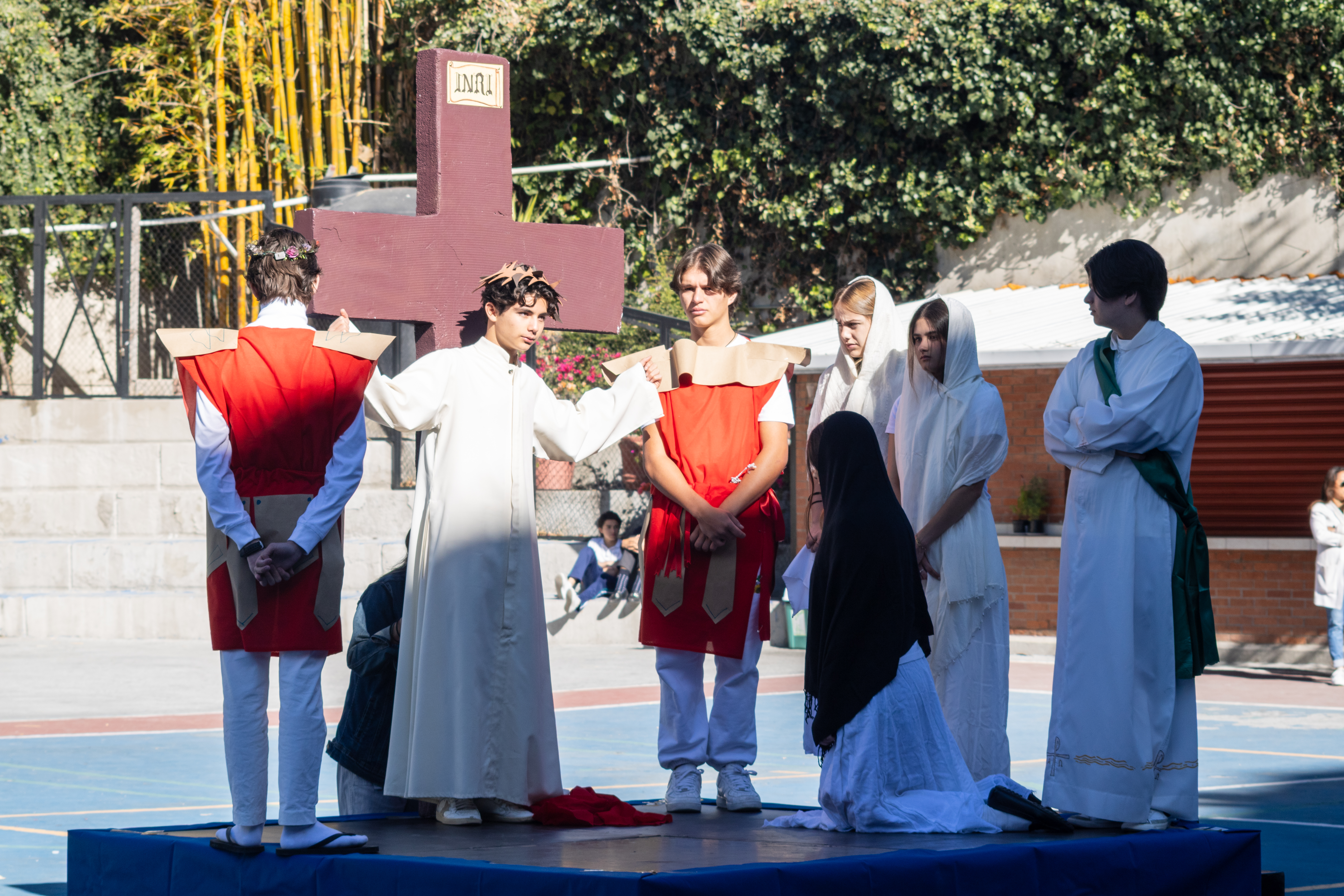 Ir a la Siguiente Foto