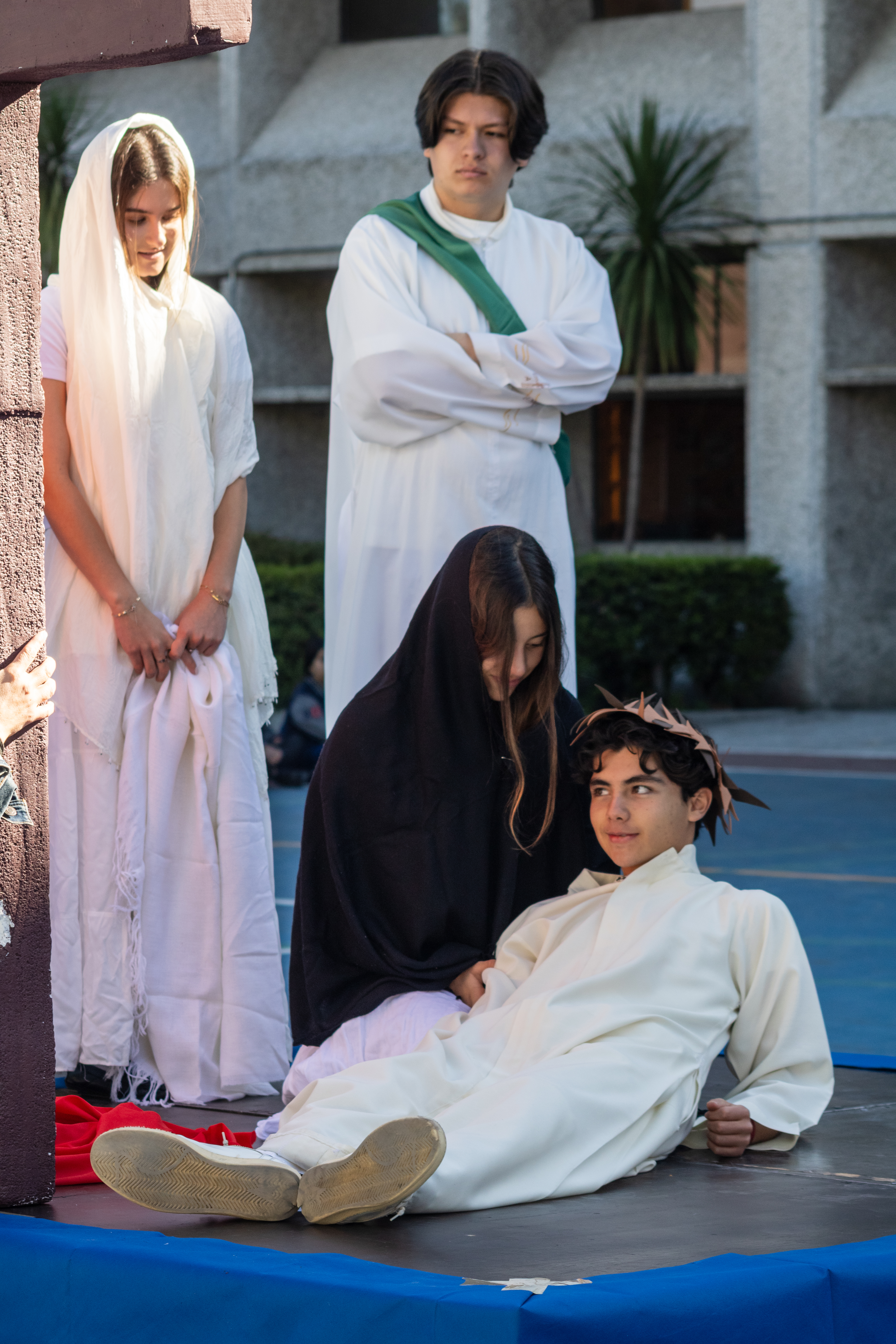 Ir a la Siguiente Foto