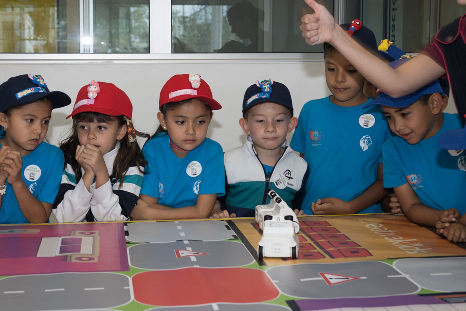 Ir a la Siguiente Foto