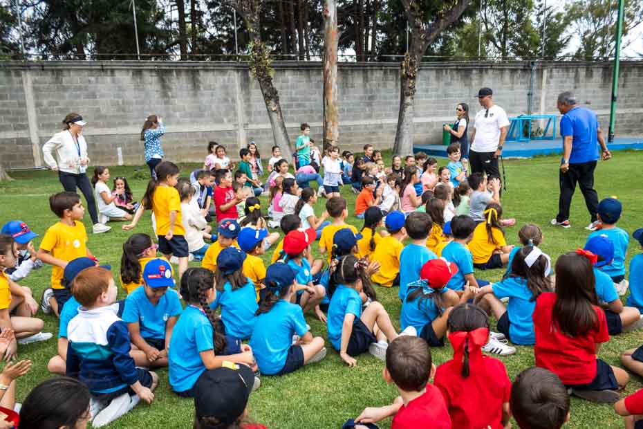 Ir a la Siguiente Foto