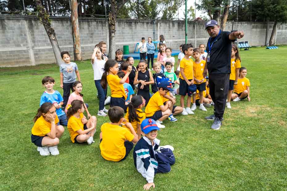 Ir a la Siguiente Foto