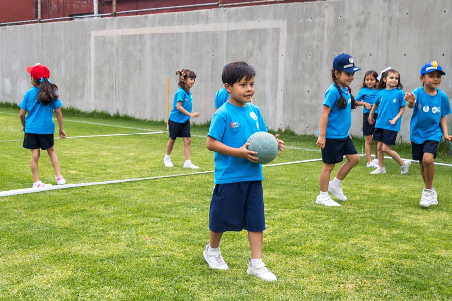 Ir a la Siguiente Foto