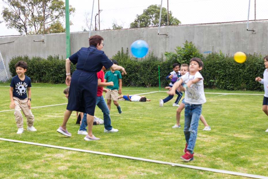 Ir a la Siguiente Foto