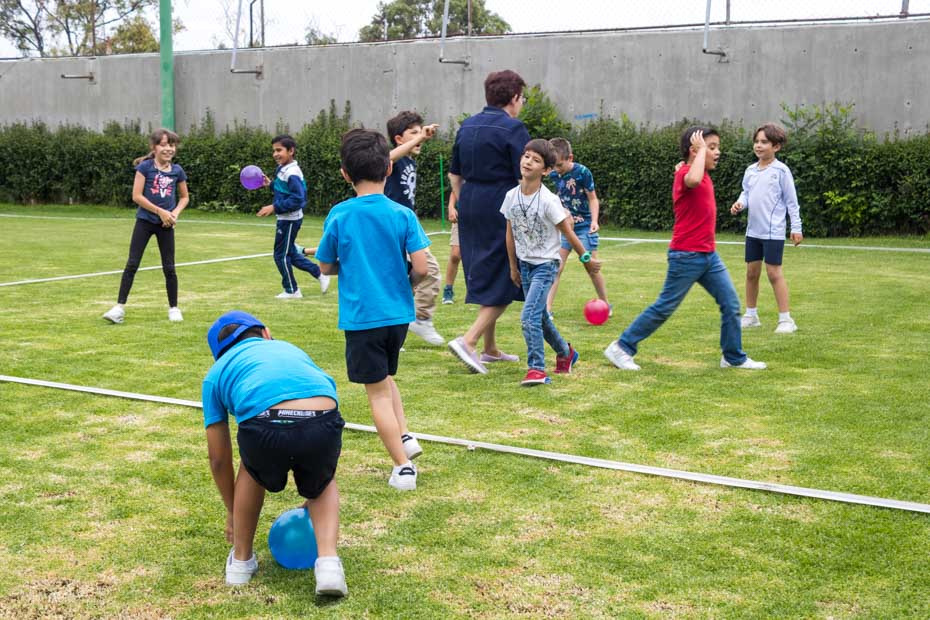 Ir a la Siguiente Foto