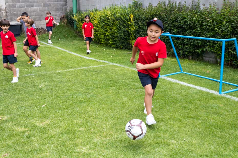 Ir a la Siguiente Foto