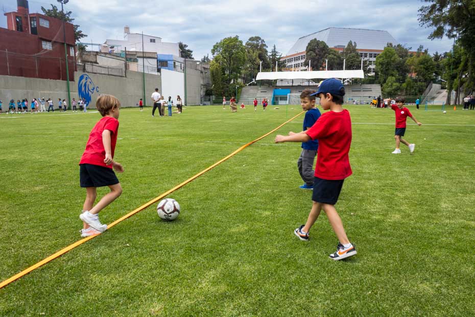 Ir a la Siguiente Foto