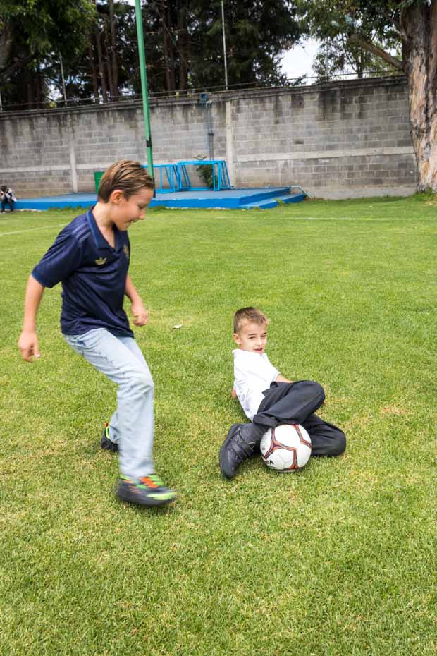 Ir a la Siguiente Foto