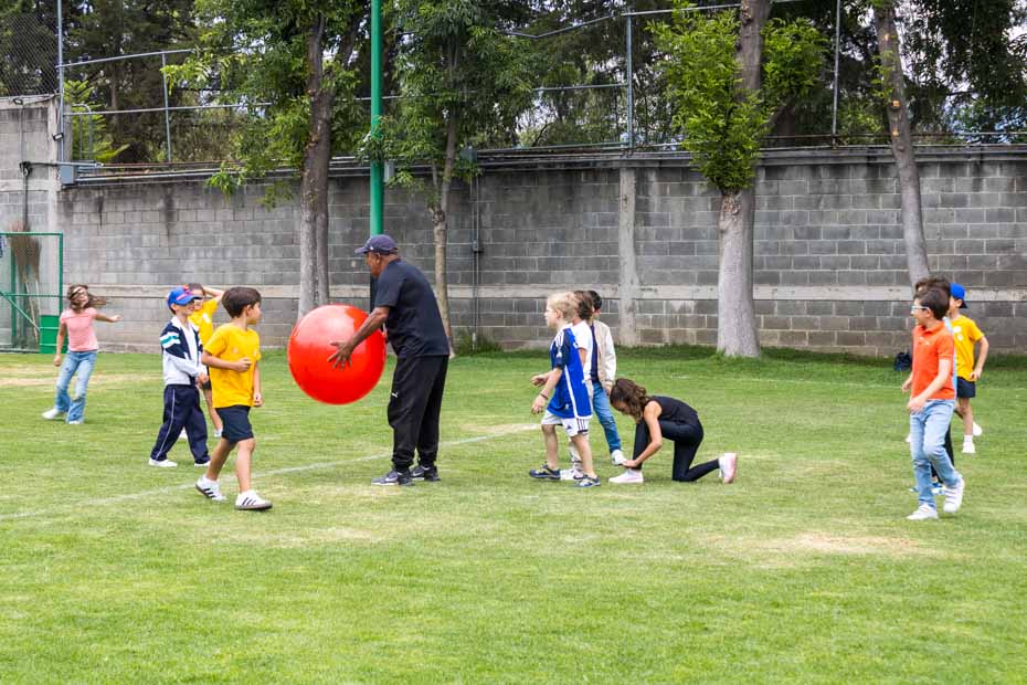 Ir a la Siguiente Foto