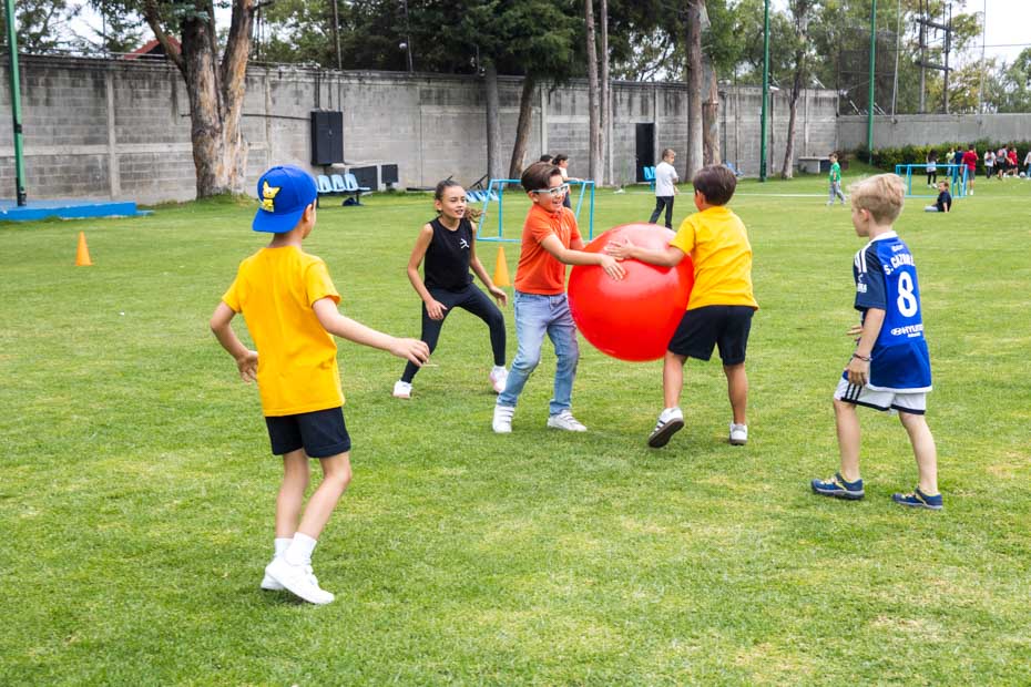 Ir a la Siguiente Foto