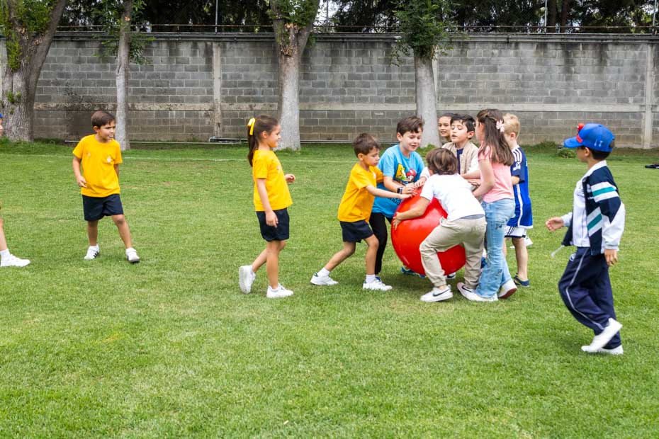 Ir a la Siguiente Foto