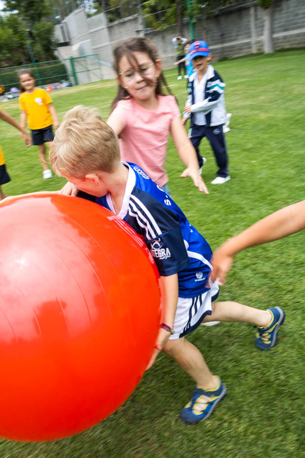 Ir a la Siguiente Foto