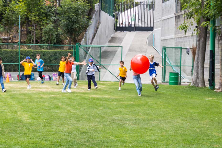 Ir a la Siguiente Foto