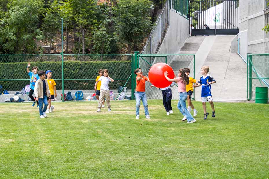 Ir a la Siguiente Foto