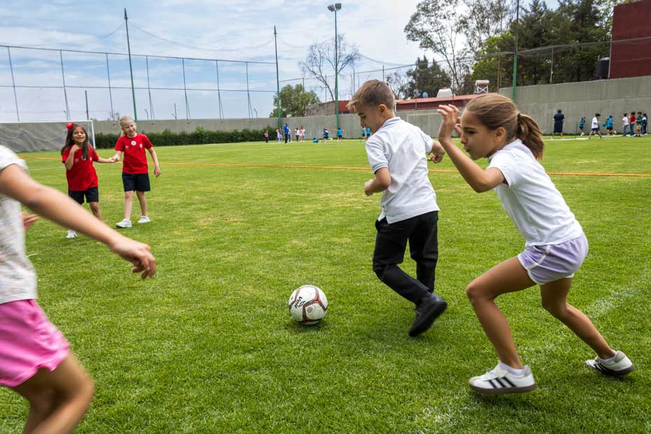 Ir a la Siguiente Foto
