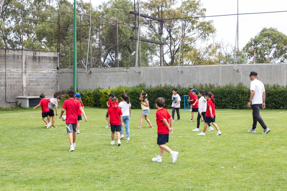 Ir a la Siguiente Foto