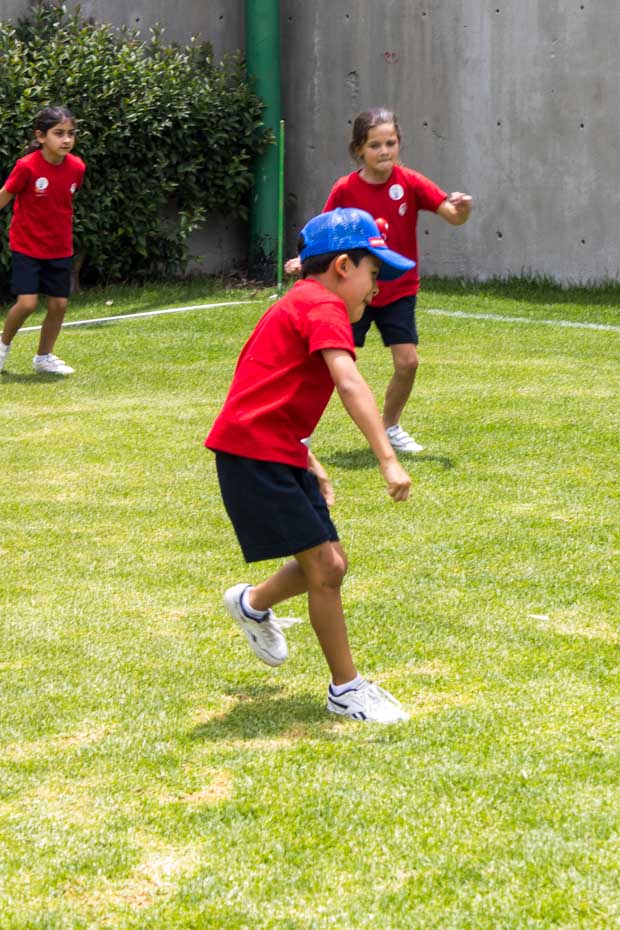 Ir a la Siguiente Foto