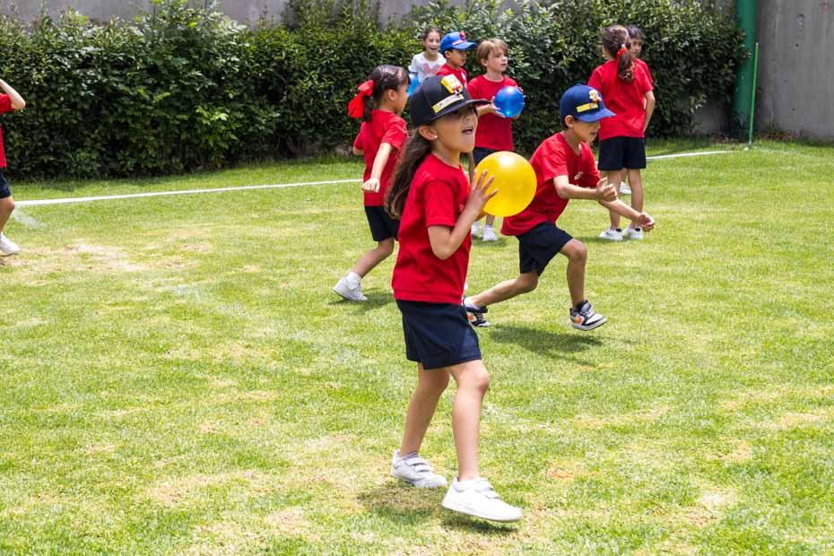 Ir a la Siguiente Foto