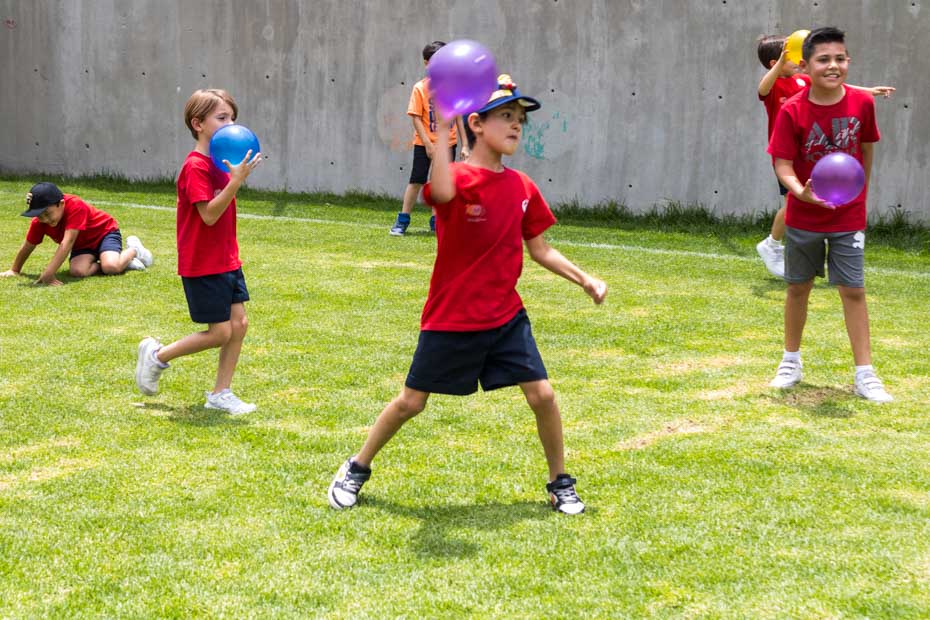 Ir a la Siguiente Foto