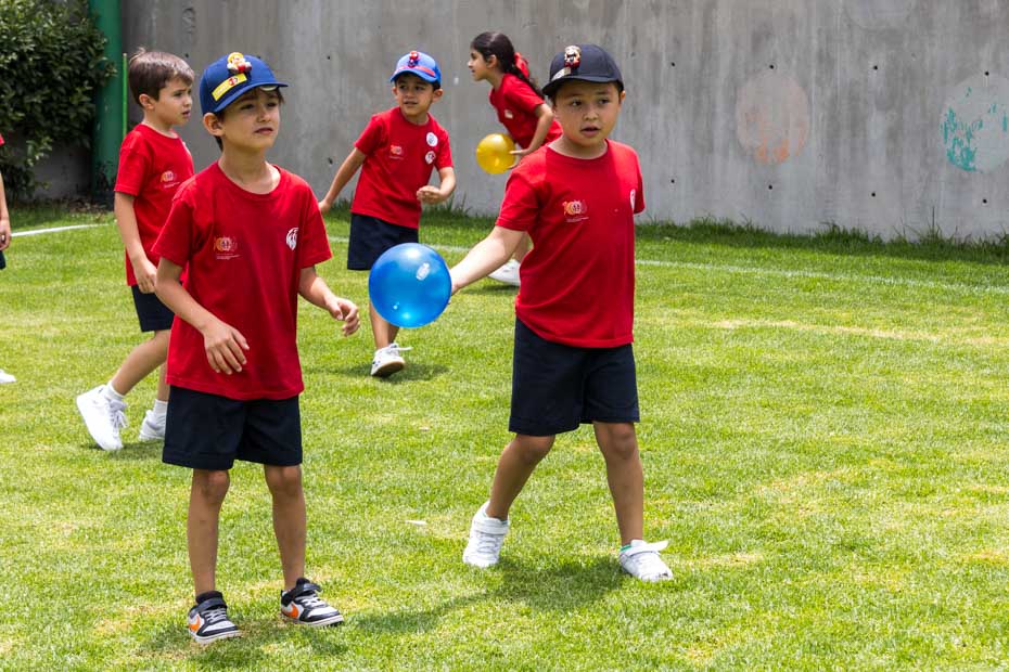 Ir a la Siguiente Foto