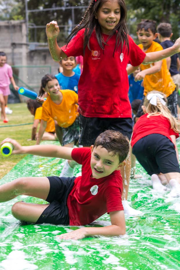 Ir a la Siguiente Foto