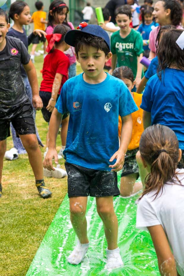 Ir a la Siguiente Foto